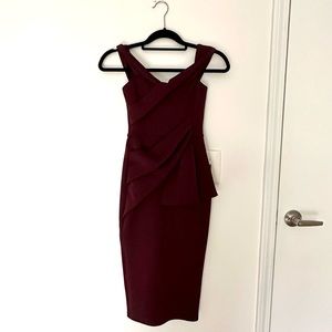 NWT Plum Cocktail Dress